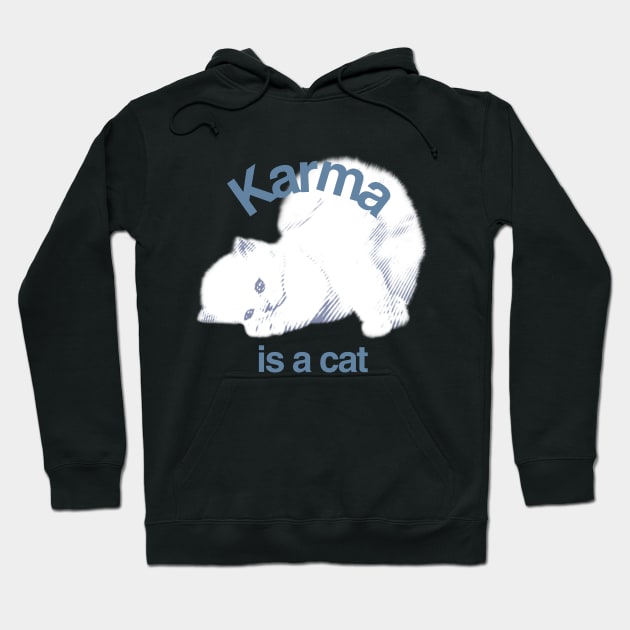 Karma is a cat Taylor Swift Hoodie by Grade Design